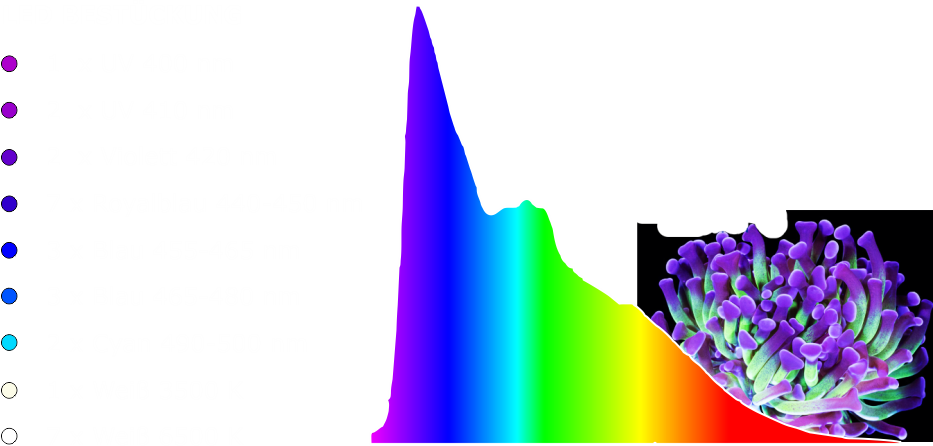 Farbspektrum tropic