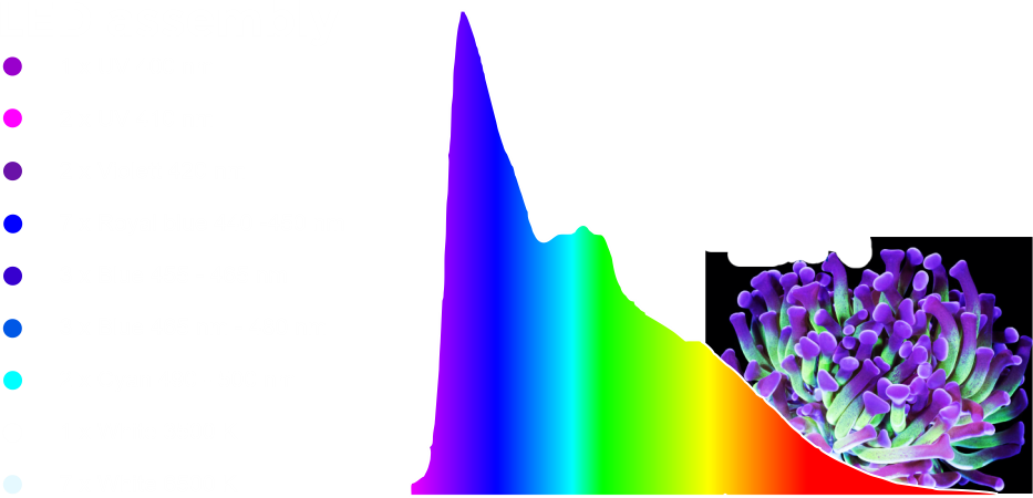 Farbspektrum tropic
