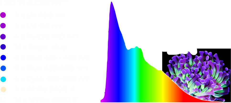 Farbspektrum marine