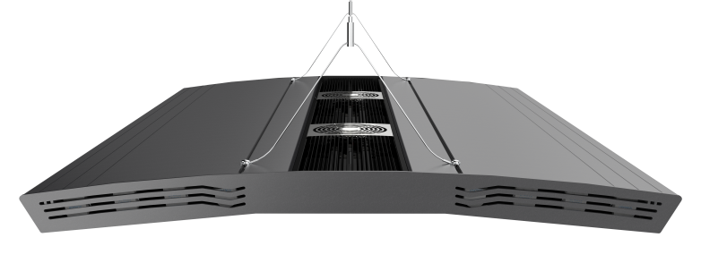 Aurora V8