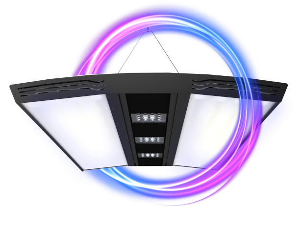 Aurora V8