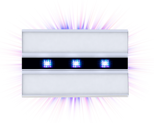 Aurora V8