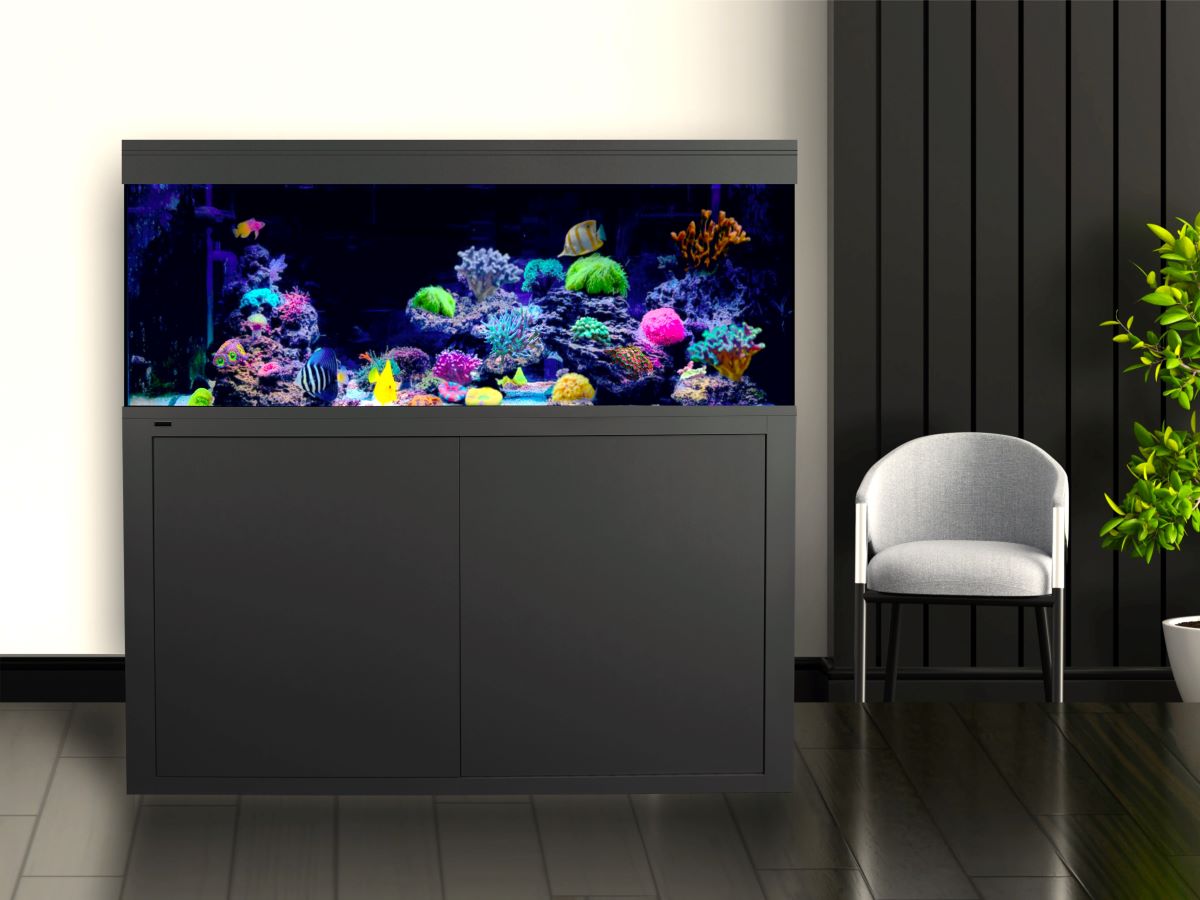 LED Beleuchtung Aquarium Süßwasser Giesemann Pulzar G3 Aquariumbeleuchtung