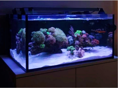 LED Beleuchtung Aquarium Meerwasser Giesemann Pulzar G3