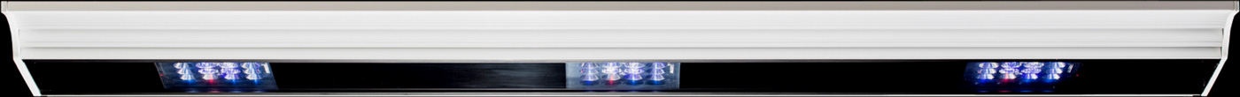VIVA LED