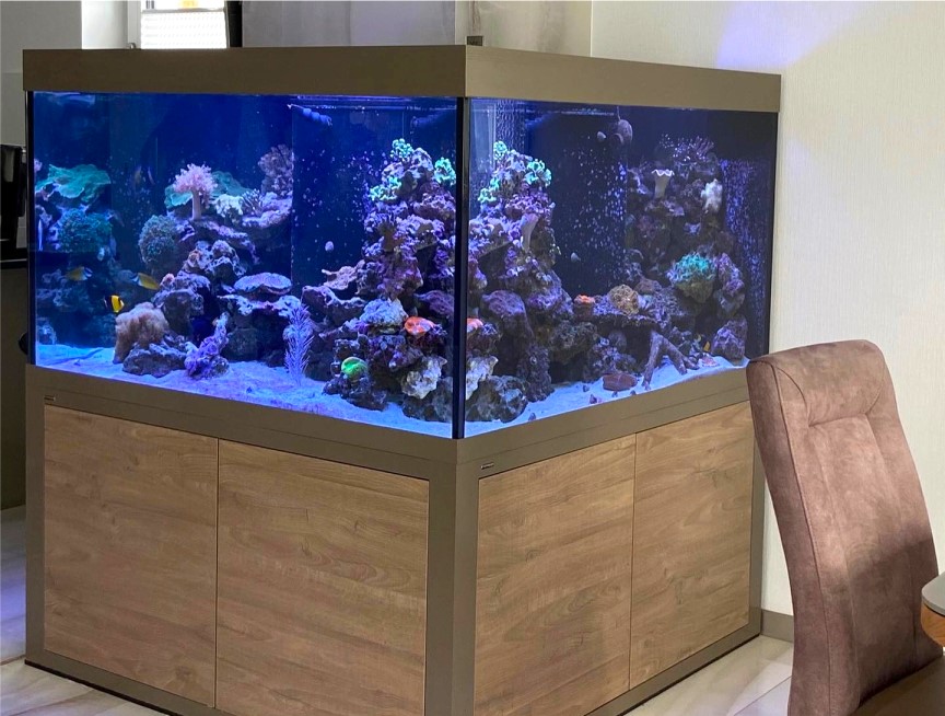 LED Beleuchtung Aquarium Meerwasser Giesemann Pulzar G3